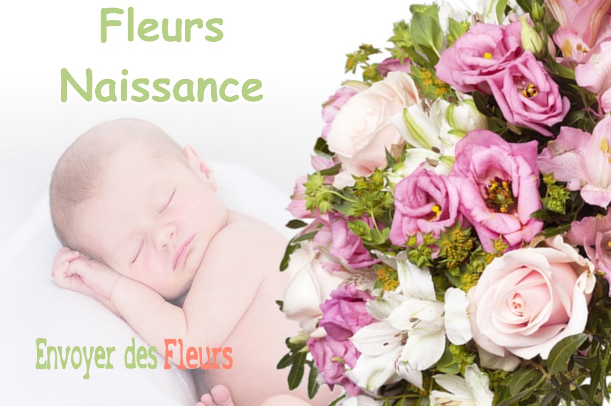 lIVRAISON FLEURS NAISSANCE à MONTCRESSON